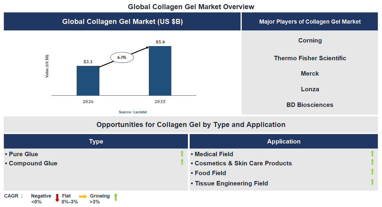 Collagen Gel Market Trends and Forecast